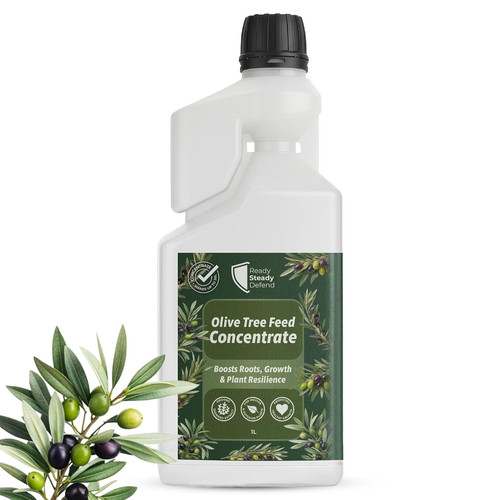 Olive tree feed concentrate - tree, 1l