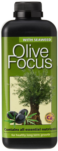 Growth technology olive - technology,