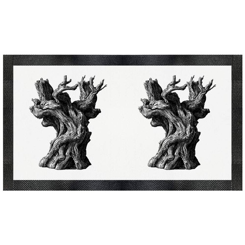 Old olive tree - olive,