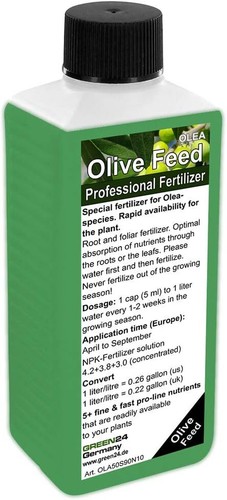 Green24 olive tree liquid - green24,