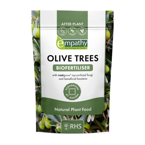 Empathy olive tree food - olive,
