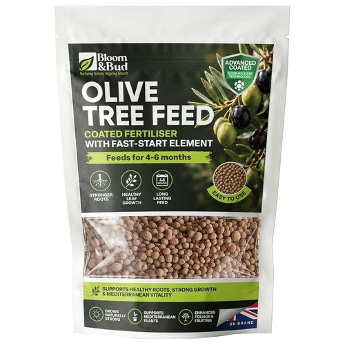 Olive tree feed fertiliser - olive,