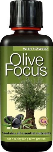 Olive focus liquid - olive, fertiliser