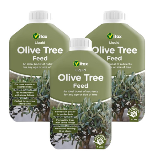 Vitax olive tree - vitax,