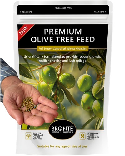 Bronte heritage organic - organic, plant