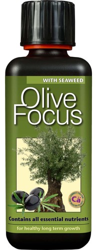 Growth technology olive focus - growth,