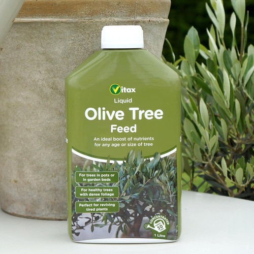Vitax olive tree - tree, liquid