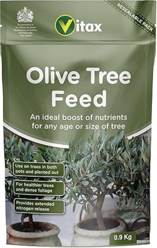 Olive tree feed - olive,
